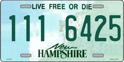 NH license plate 1116425