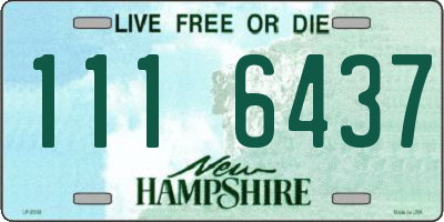 NH license plate 1116437