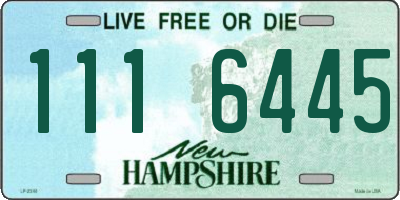 NH license plate 1116445