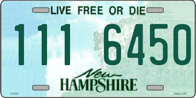 NH license plate 1116450