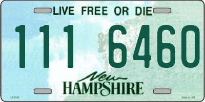NH license plate 1116460