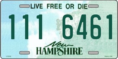NH license plate 1116461