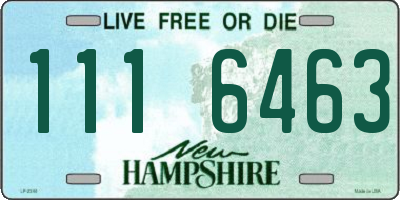 NH license plate 1116463