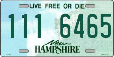 NH license plate 1116465