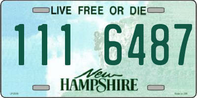 NH license plate 1116487