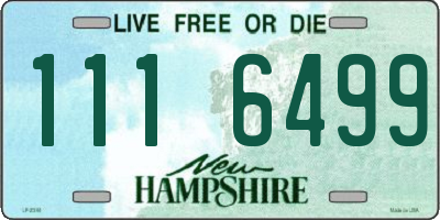 NH license plate 1116499