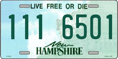 NH license plate 1116501