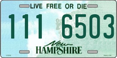 NH license plate 1116503