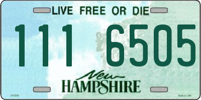 NH license plate 1116505