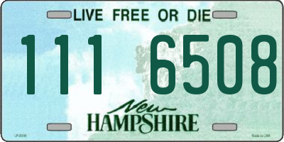 NH license plate 1116508