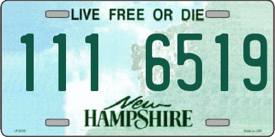 NH license plate 1116519