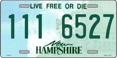 NH license plate 1116527