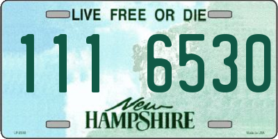 NH license plate 1116530