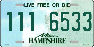 NH license plate 1116533