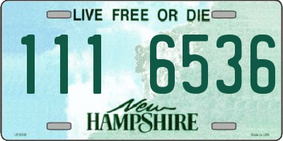 NH license plate 1116536
