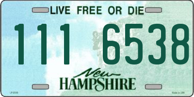 NH license plate 1116538