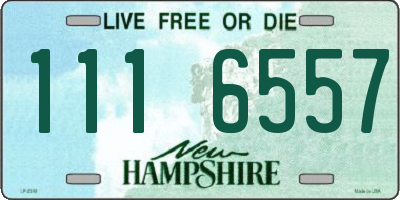 NH license plate 1116557