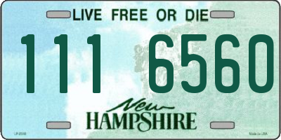 NH license plate 1116560
