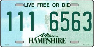 NH license plate 1116563