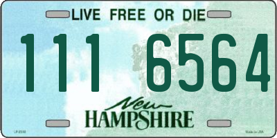 NH license plate 1116564