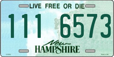 NH license plate 1116573