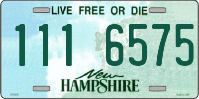 NH license plate 1116575