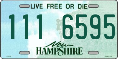 NH license plate 1116595