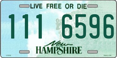 NH license plate 1116596
