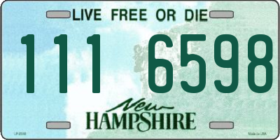 NH license plate 1116598