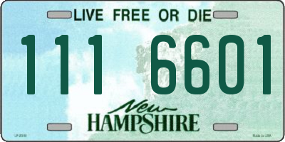 NH license plate 1116601