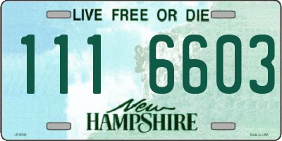 NH license plate 1116603