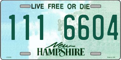 NH license plate 1116604