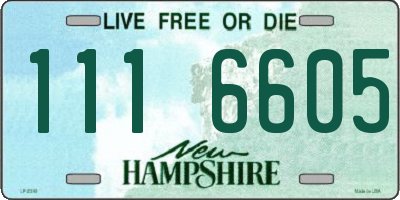 NH license plate 1116605