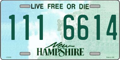 NH license plate 1116614