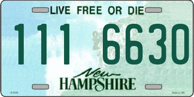 NH license plate 1116630