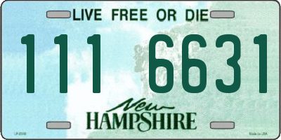 NH license plate 1116631