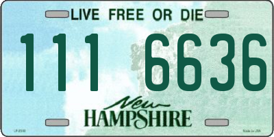 NH license plate 1116636