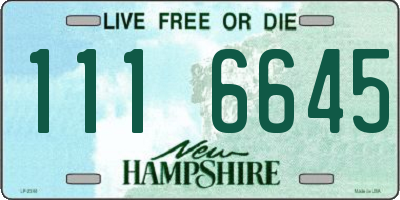 NH license plate 1116645
