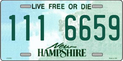 NH license plate 1116659