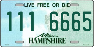 NH license plate 1116665