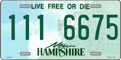 NH license plate 1116675