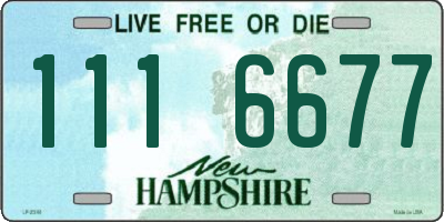 NH license plate 1116677