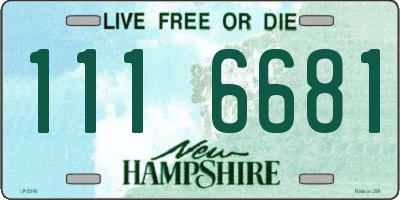 NH license plate 1116681