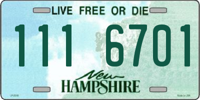 NH license plate 1116701