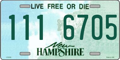 NH license plate 1116705