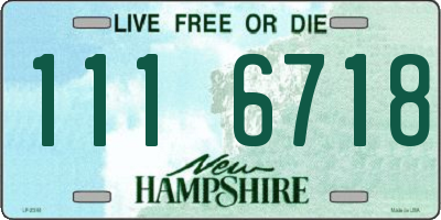 NH license plate 1116718
