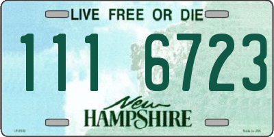 NH license plate 1116723