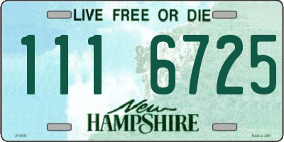 NH license plate 1116725
