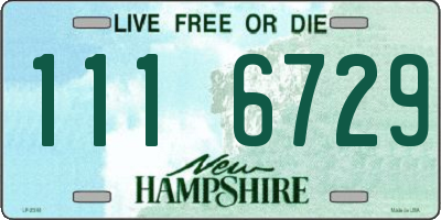 NH license plate 1116729