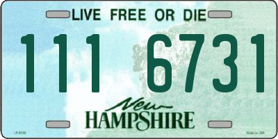 NH license plate 1116731